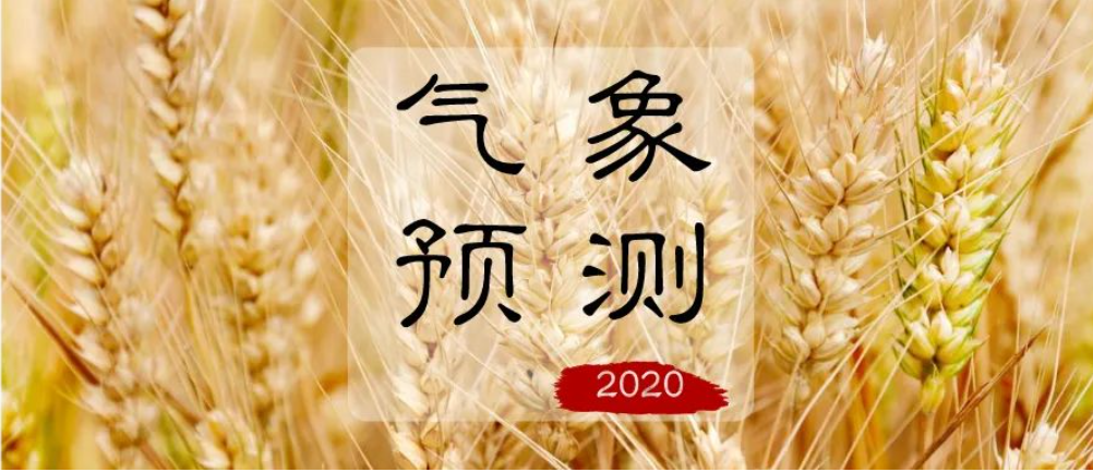 2020 气象预测（附修身养性关键）