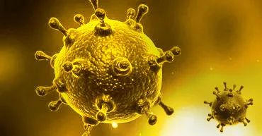 ICU里的这位老年感染者