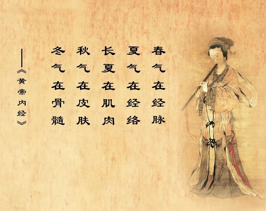 《黄帝内经》“五谷为养”放在第一位,揭秘五脏六腑的生命智慧_脾胃