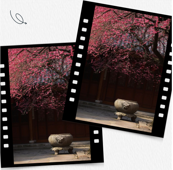 image-20251023112633934