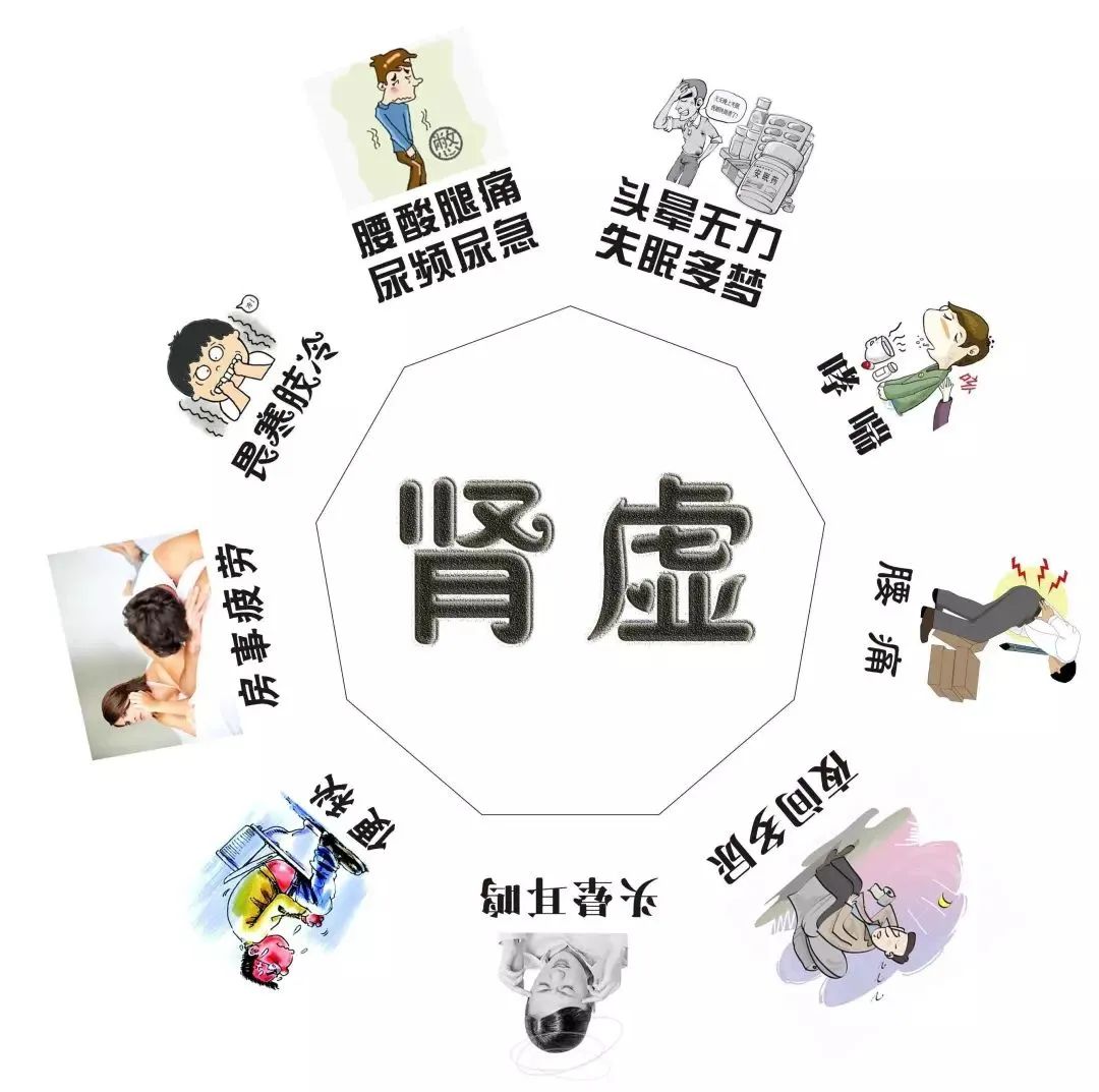 肾不“虚”了,老司机都说好!_功能