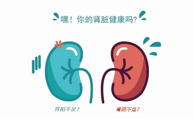 男人如何养肾?这种小零食,每天来一小把,健脾、护脏又护肾_坚果