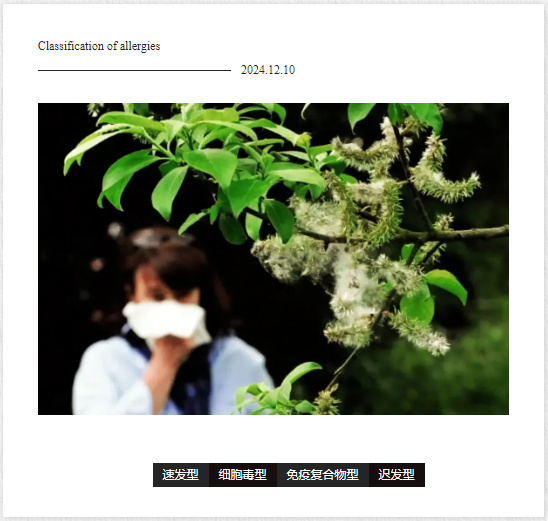 image-20241213154912249